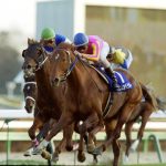 ダイワで3番目に思いついた冠名、競馬板全員一致する説