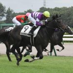 近年で1番謎だったG1一番人気←これ満場一致だよな