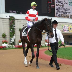 ダノンバラード種牡馬大成功！！！