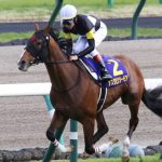 アスクビクターモアは歴代最弱菊花賞馬では