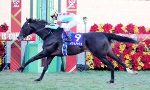 ルメール「イクイノックスはレジェンドの域､G1 9勝が目標」