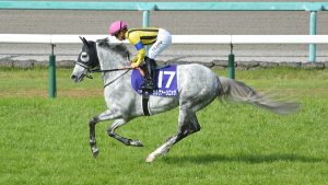 【ステイヤーズS】オルフェーヴル種牡馬大成功!!