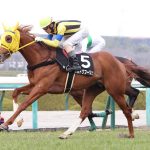 ボルドグフーシュ地味に強い