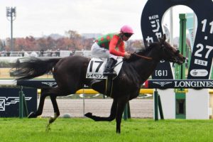 レイベリング以外に強くて草w