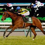 キタサンブラック大成功