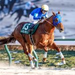 レモンポップ 坂井と新コンビでフェブラリーSへ