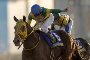 ウシュバって今芝走ったらそこいらのG1馬より強いんじゃね?