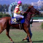 思い出の桜花賞で東がシャダイカグラを語るらしいがお前らは？