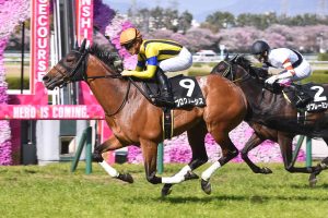 現役最強馬がプログノーシスな件