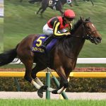 【急募】リバティアイランドの鞍上