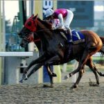 アラブといえば