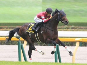 チャンスザローゼス弱すぎワロタwww