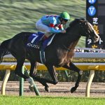 悲報!イクイノックス大ピンチw3歳牝馬は強かったその相手に圧勝のリバティアイランドwww