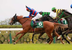 ファンタジーS 15人気→9人気→12人気 これ買えた奴いるの？