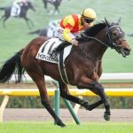 友道「ジャスティンミラノは過去のダービー馬と遜色ない」