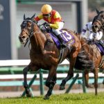 ジャスティンミラノは三冠馬確実だけどさ