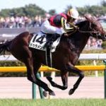 競走馬ドゥラメンテってどんだけ強かったの？