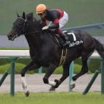 結局シルバーステートって上限ウォーターナビレラで確定なの？