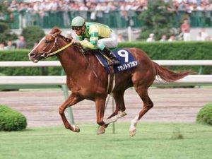 皐月速い、ダービー運、菊花強い←この格言のイメージに近い世代は?