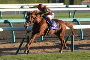 最強馬論争でイクイやディープは嫌われたのにオルフェはみんな好きだったのってなんでなの?