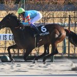 ヤマニンウルスがもしチャンピオンズCに出られるなら勝利は確実だな