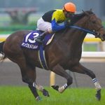 キングカメハメハの後継が微妙種牡馬ばかり