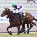 サンライズジパングがサウジの芝長距離G2レッドシーターフHの招待を受諾