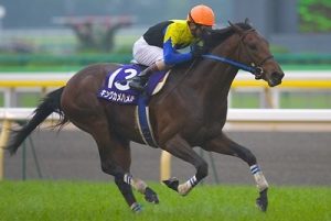 サンデー系、ディープ系は馬力がある。キングマンボ系は非力だから欧州で衰退した