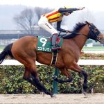 コスタノヴァの鞍上誰になるの？