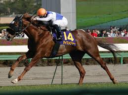 「あ、これは完全にフロッグだな」と思ったけど実は強かったＧ１馬といえば？