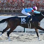 ダブルハートボンド強すぎわらた