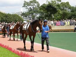 競馬の「パドック」って何を見たらいいの?