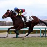 キタサンブラック、リアルスティール、ドゥラメンテ