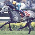 内国産４代目の壁が厚い