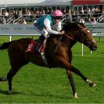 サドラーズウェルズの血統について