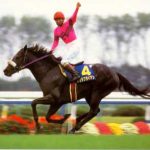 史上最強牝馬ヒシアマゾンを有馬記念で3馬身以上ちぎったナリタブライアン強すぎるだろ