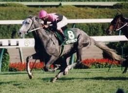 三大すごい兄弟と言えば ビワ・ナリブ、ドリジャ・オルフェ