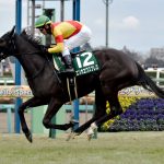 秋華賞エリカエクスプレス武豊