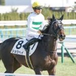 ショウヘイという名前つけるならもっと強い馬につけてほしかったよな