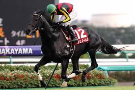 凱旋門賞に行って欲しかった馬