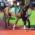 エネルジコが史上最強クラスである可能性