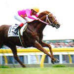 ミホノブルボンが坂路で鍛えて強くなったという伝説は本当か？