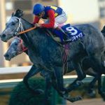オグリキャップが今の競馬界にいたらさ